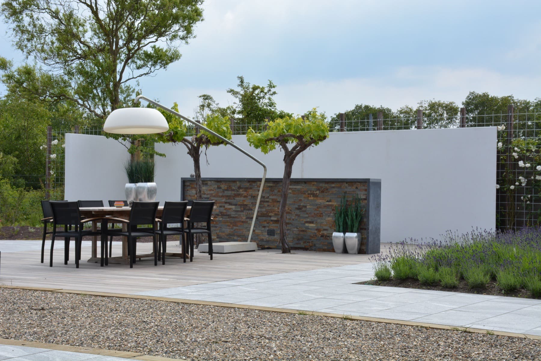 Moderne tuin met terras, druivenbomen en lavendel