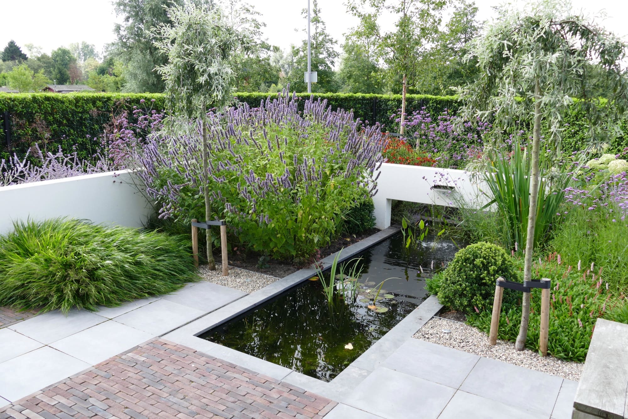 Groene tuin met waterpartij